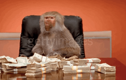 singe comptant ses billets de banque